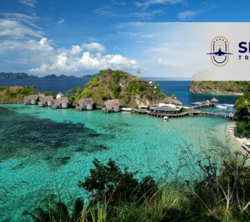 شركة سكاي جيت للسفر والسياحة